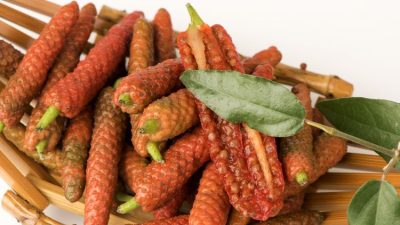 Membongkar Jejak Pedas: Sejarah Masuknya Tanaman Cabai ke Nusantara