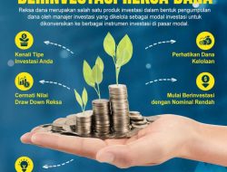 Meningkatkan Potensi Investasi Anda: Tips Praktis Mengelola Reksa Dana agar Lebih Efektif